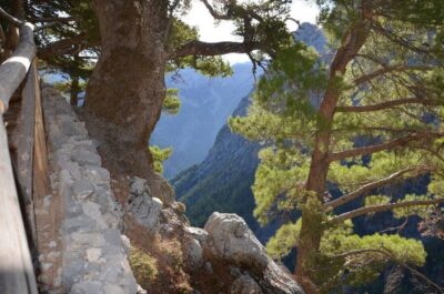 Samariá Gorge Hike: Day Excursion from Chania
