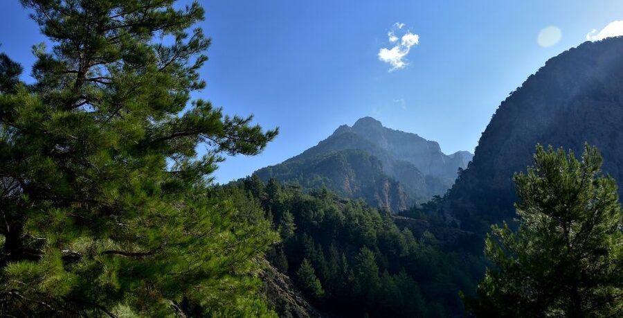 Samariá Gorge Hike: Day Excursion from Chania - Reaching Agia Roumeli and the Libyan Sea