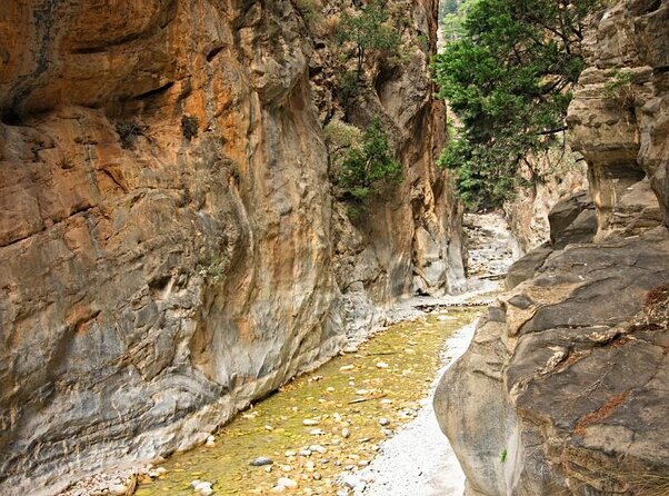 Samaria Gorge Hiking from Chania with Professional Hiking Guide - Ferry, bus, and the long ride back