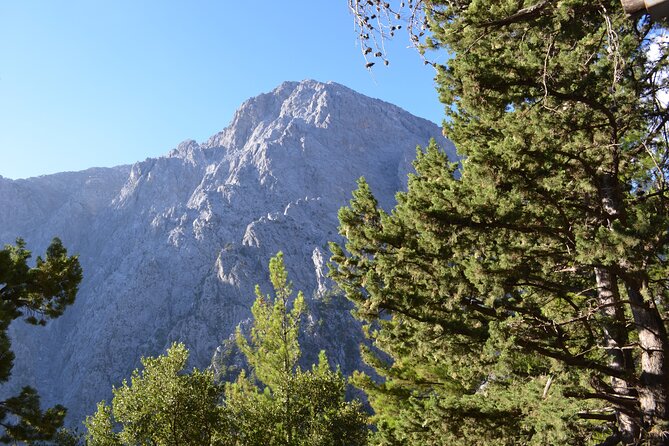 Samaria Gorge Hiking Tour from Chania with Professional Guide - The 5:30 p.m. ferry to Sougia