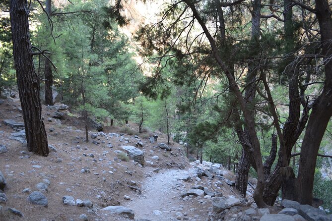 Samaria Gorge Hiking Tour from Chania with Professional Guide - What the €36.05 price really covers