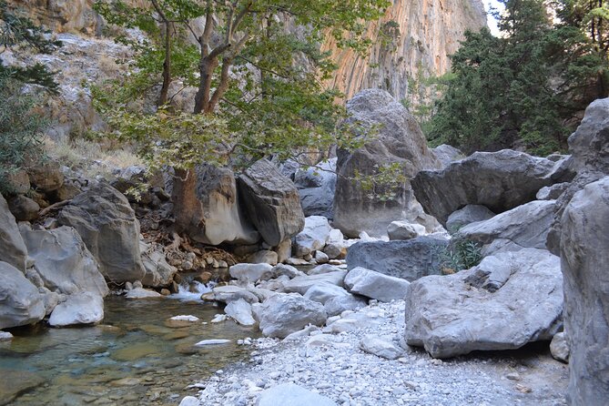 Samaria Gorge Hiking Tour from Chania with Professional Guide - Who should book this Samaria Gorge tour