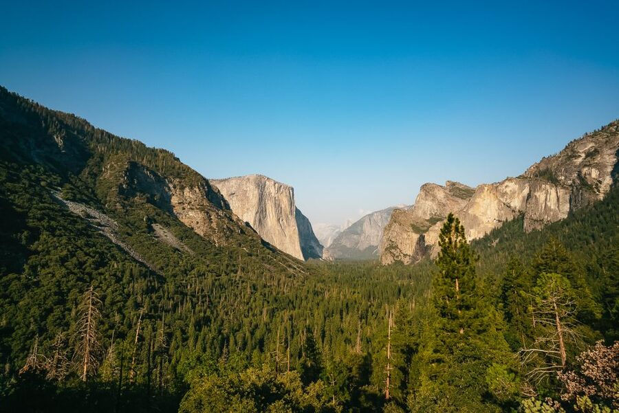 San Francisco: Day Trip to Yosemite with Giant Sequoias Hike - Key points at a glance