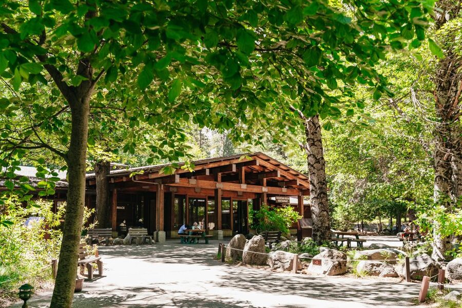 San Francisco: Yosemite National Park & Giant Sequoias Hike - Why this Yosemite day trip works