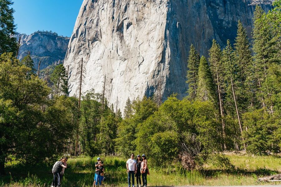San Francisco: Yosemite National Park & Giant Sequoias Hike - Granite walls, waterfalls, and short photo stops