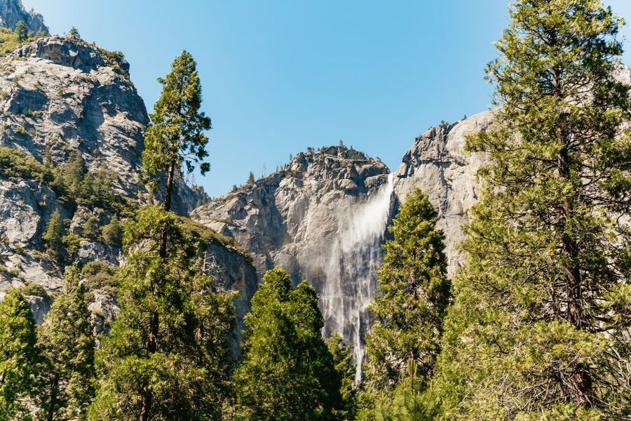 San Francisco: Yosemite National Park & Giant Sequoias Hike - Tuolumne Grove and the giant sequoias