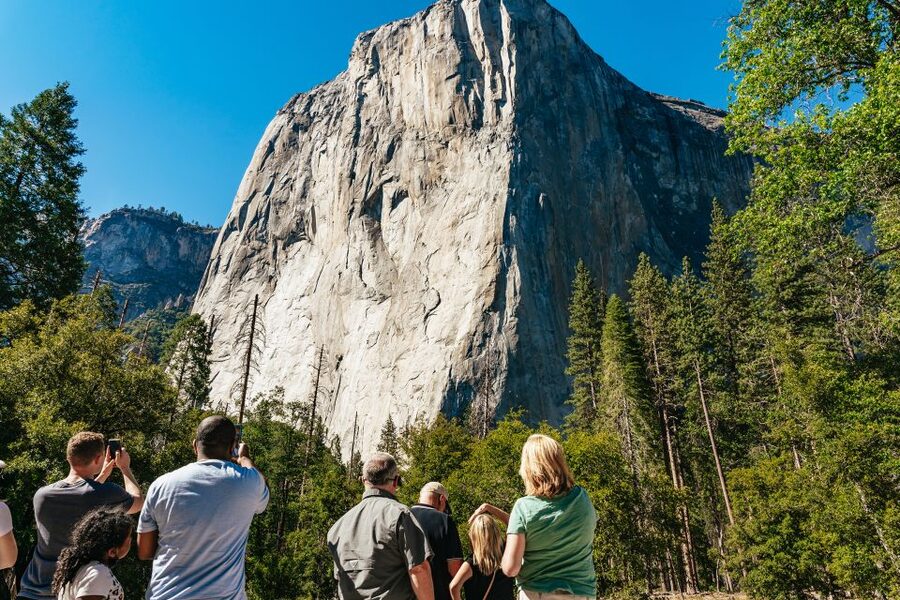 San Francisco: Yosemite National Park & Giant Sequoias Hike - The return drive is part of the bargain