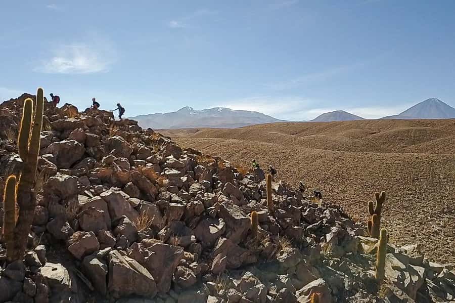 San Pedro de Atacama: Desert Tour with Canyoning & Trekking - A rare water adventure in the Atacama