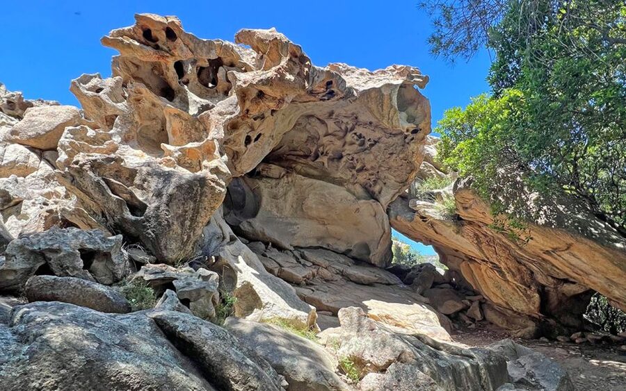 San Teodoro: Rio Pitrisconi Jeep and Hiking Tour - Group size, timing, and value