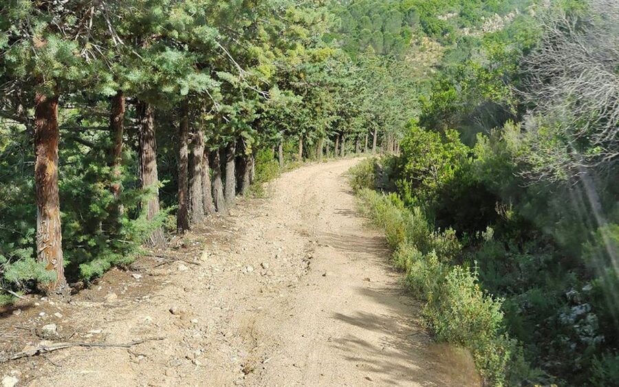 San Teodoro: Rio Pitrisconi Jeep and Hiking Tour - A four-hour mountain escape from San Teodoro
