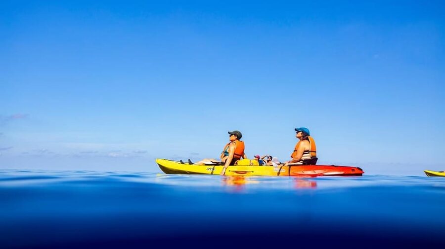 Sant Elm: Guided kayak tour to the Island Dragonera & Hiking - Practical Value at $77 Per Person