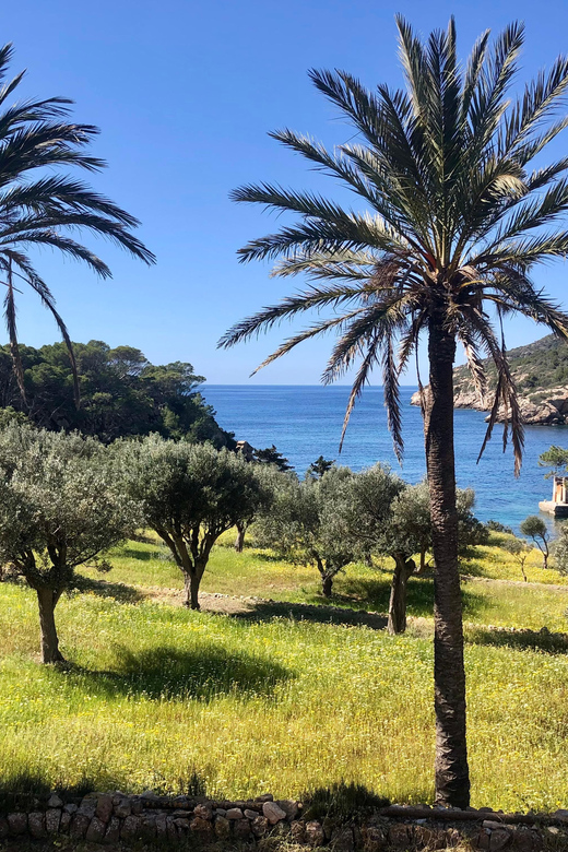 Sant Elm: Guided kayak tour to the Island Dragonera & Hiking - Starting in Sant Elm With Paddle and Safety Briefing