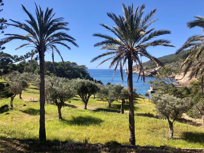 Sant Elm: Guided kayak tour to the Island Dragonera & Hiking - The Paddle Back to Sant Elm