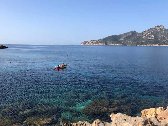 Sant Elm: Guided kayak tour to the Island Dragonera & Hiking - The Crossing to Sa Dragonera