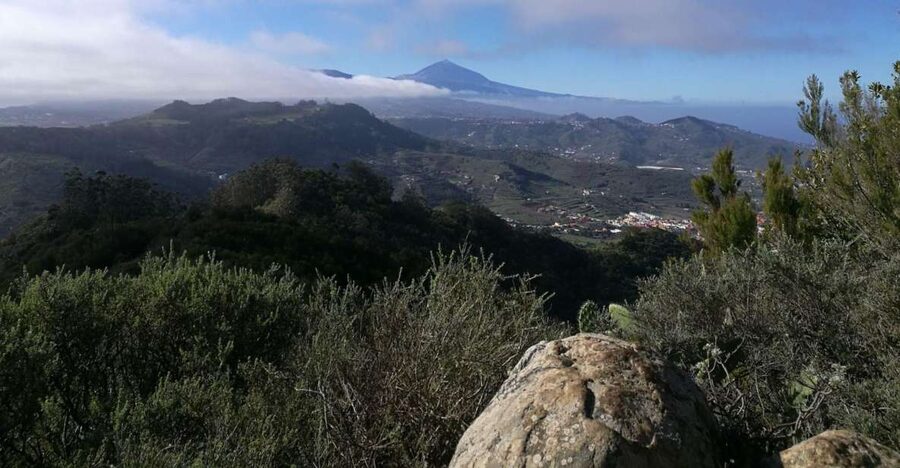 Santa Cruz de Tenerife: 2-Hour Hiking Tour in Anaga Forest - Key points at a glance