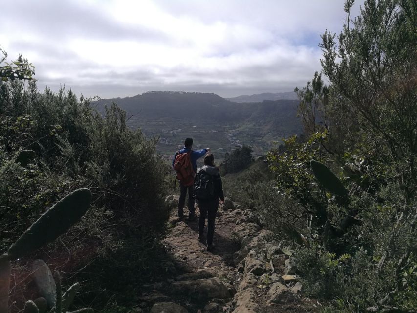 Santa Cruz de Tenerife: 2-Hour Hiking Tour in Anaga Forest - How difficult is the hike?
