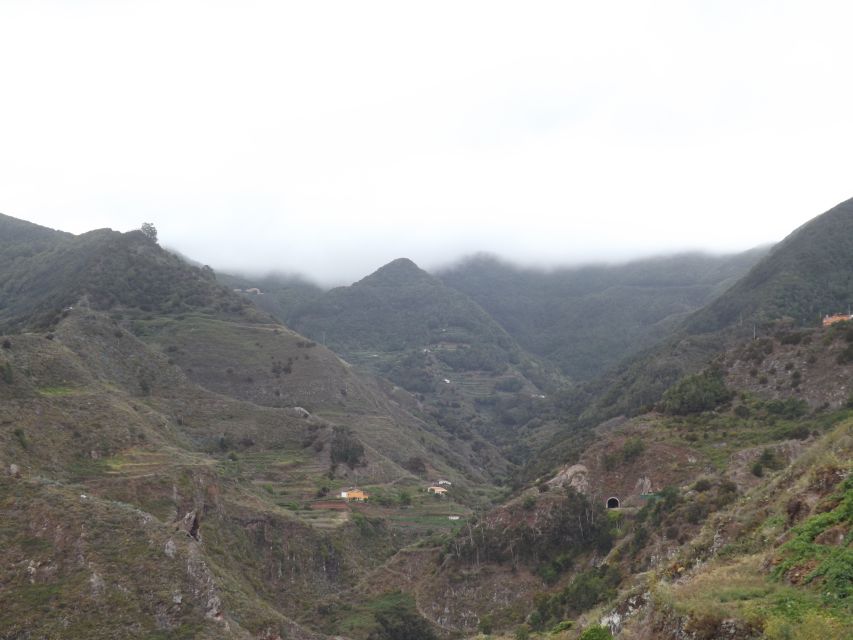 Santa Cruz de Tenerife: 2-Hour Hiking Tour in Anaga Forest - The meeting point and the ride into the hills
