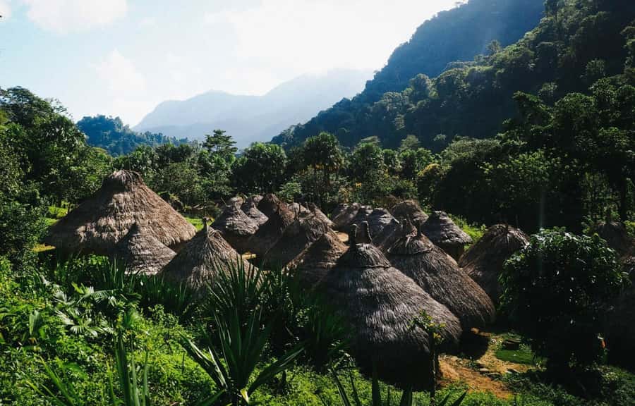 Santa Marta: Multi-Day Trek to The Lost City - Day three: the stone stairway to the Lost City