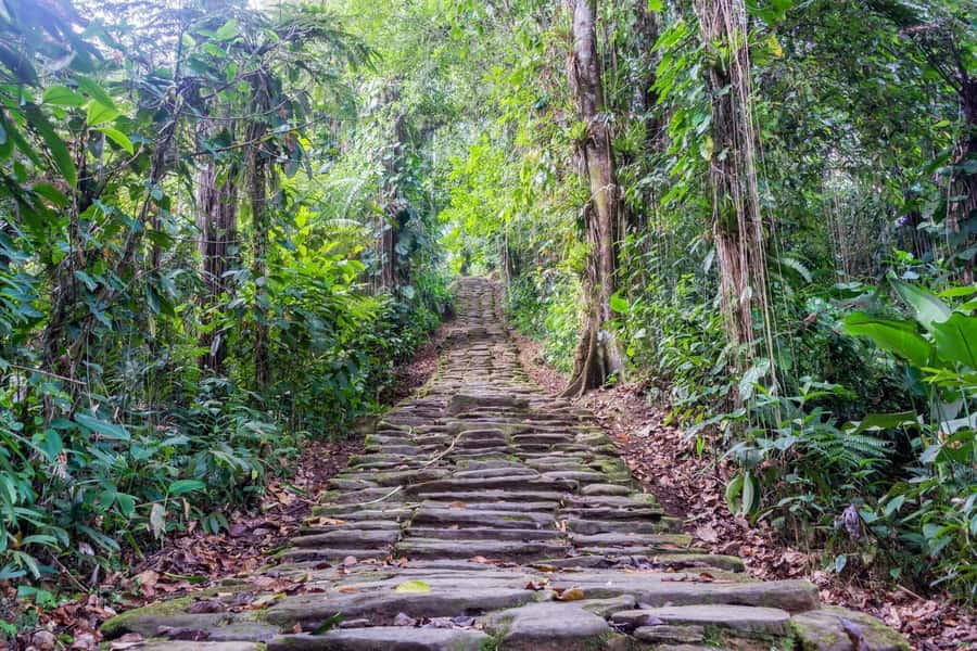 Santa Marta: Multi-Day Trek to The Lost City - Day one: El Mamey, Las Tres Cruces and the first camp