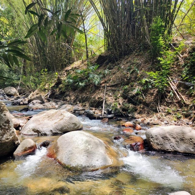 Santa Marta: Trekking in Minca Complete Waterfall Circuit - Who should book this experience?