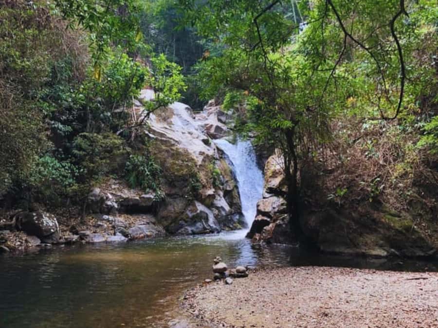 Santa Marta: Trekking in Minca Complete Waterfall Circuit - Coffee, cacao, and the mountain economy