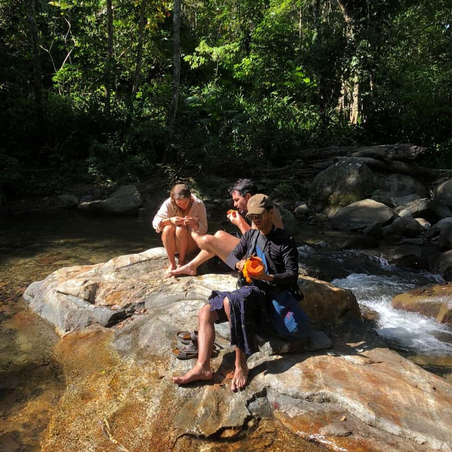 Santa Marta: Trekking in Minca Complete Waterfall Circuit - Is $49 good value?