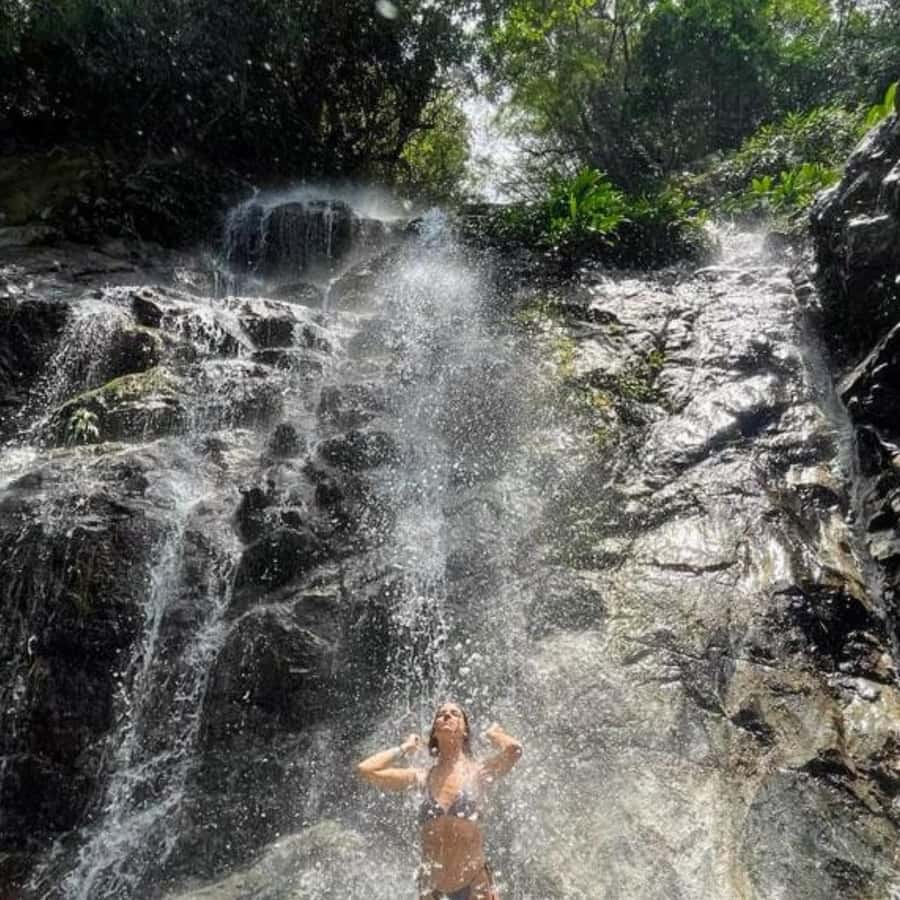 Santa Marta: Trekking in Minca Complete Waterfall Circuit - Setting out from Minca’s main park