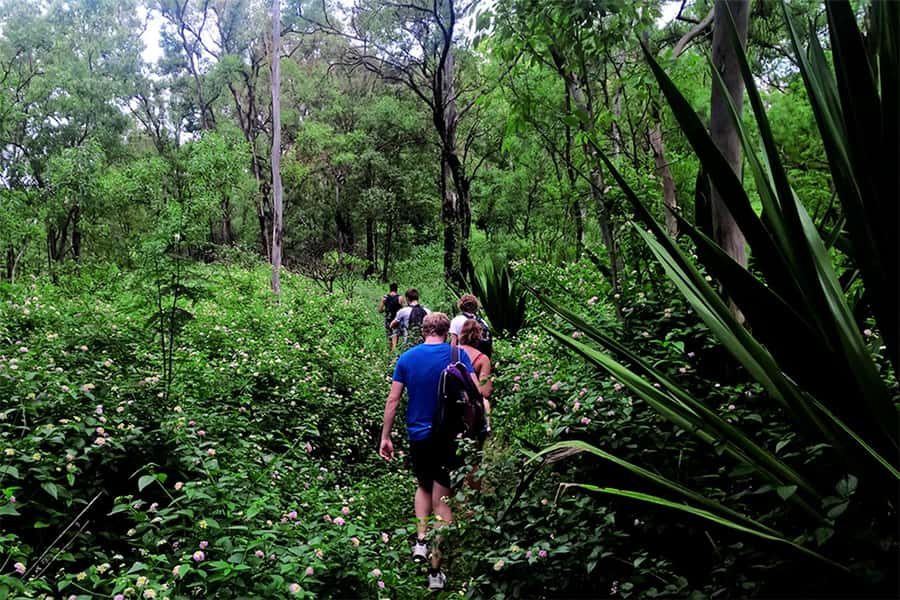 Santiago Island: Serra Malagueta & Tarrafal Beach Trek Tour - Plants, birds, and the value of a local guide