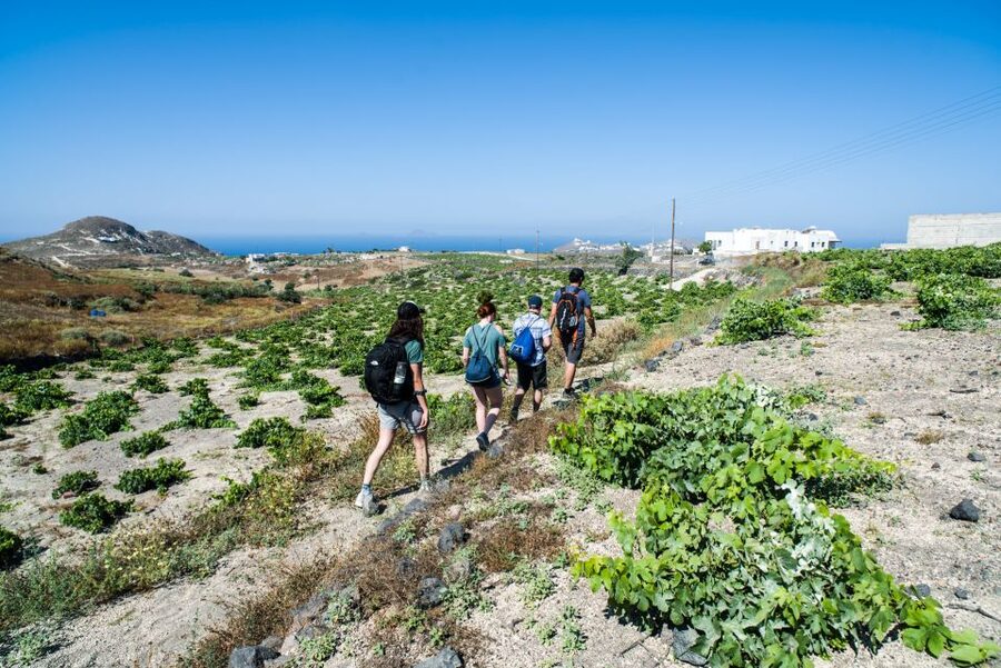 Santorini: Cooking Class and Easy Hike - Mesa Pigadia adds a welcome swim