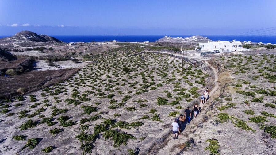 Santorini: Cooking Class and Easy Hike - The homemade lunch is a major part of the value