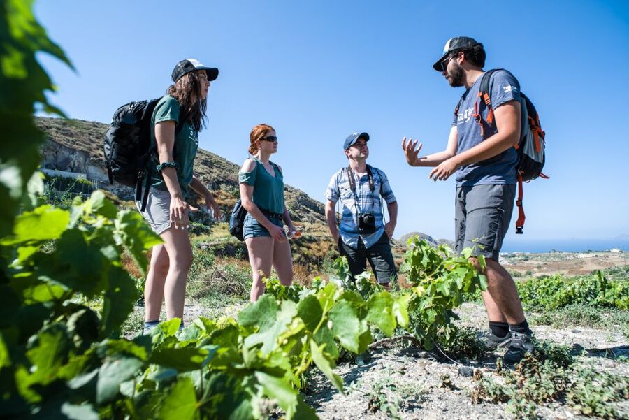 Santorini: Cooking Class and Easy Hike - Who should book this experience