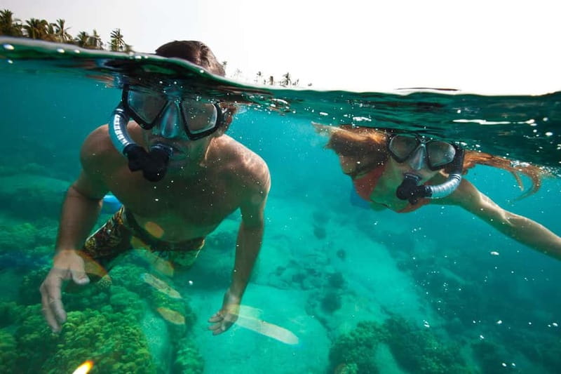 São Miguel Azores: Hike and Snorkeling with a local - What Gabriel adds to the walk