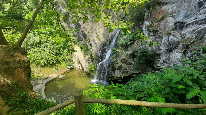 São Miguel Azores: Hike and Snorkeling with a local - Snorkeling at a volcanic beach or natural sea pool