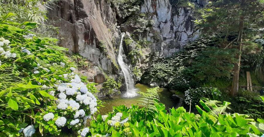 São Miguel Azores: Hike and Snorkeling with a local - Small-group transport and what the price covers