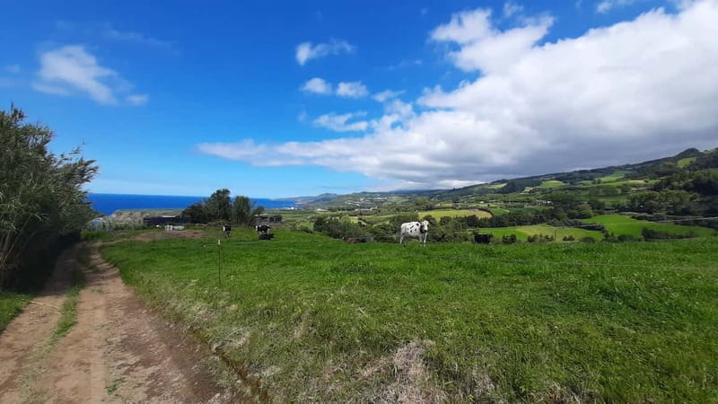 São Miguel Azores: Hike and Snorkeling with a local - The best time to book this experience
