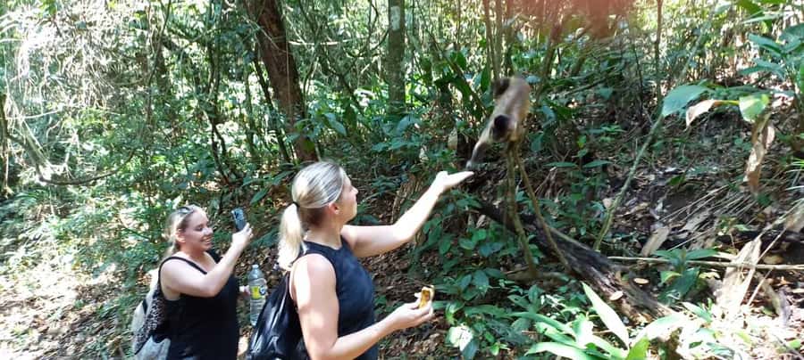 São Paulo: Atlantic Forest Hike in Jaraguá Park with Picnic - What the private guide adds