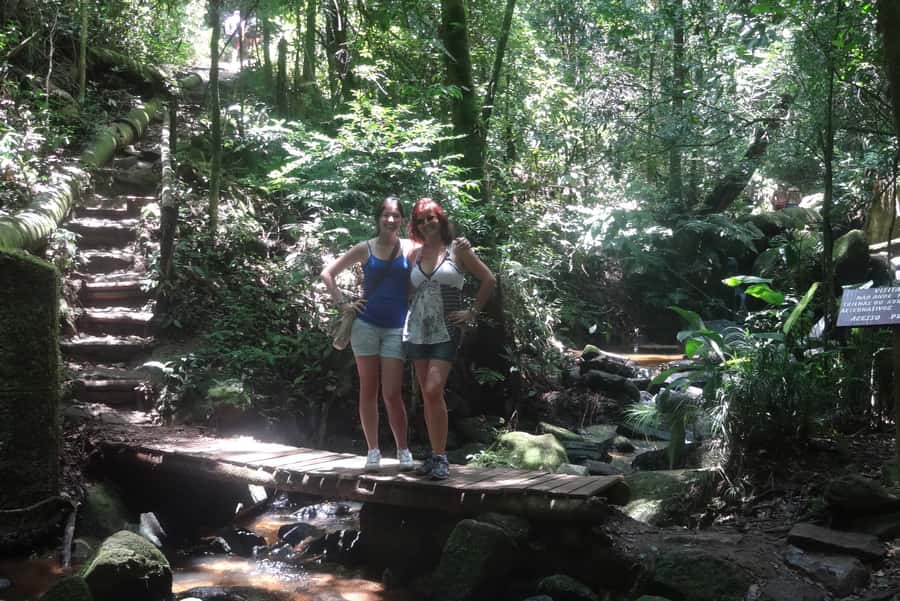 São Paulo: Cantareira Natural Park Guided Rainforest Hike - From São Paulo to Cantareira Natural Park