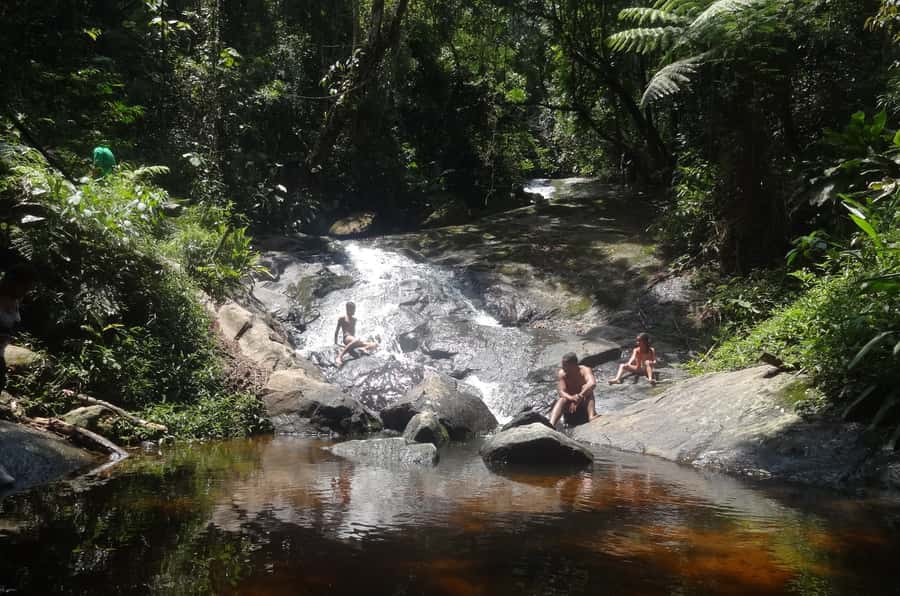 São Paulo: Cantareira Natural Park Guided Rainforest Hike - Should you book the Cantareira hike?