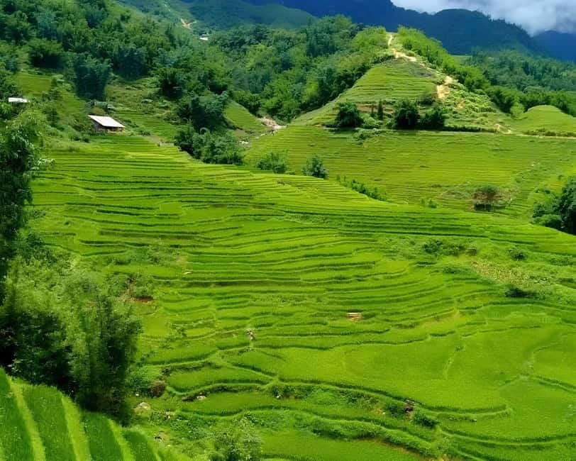Sapa 1 Day Long Trek: Trek to Hau Thao and Sa Seng Villages - Is $24 good value for a full day?
