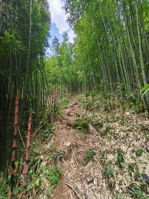Sapa: 2-Day Local Guided Valley Trek with Night Homestay - Key points to know before booking