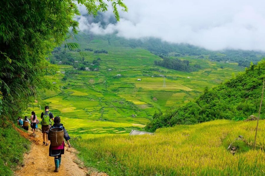 SaPa: 2-Day Villages,Rice Fields, Love Waterfall Hiking Tour - Who should book this walk