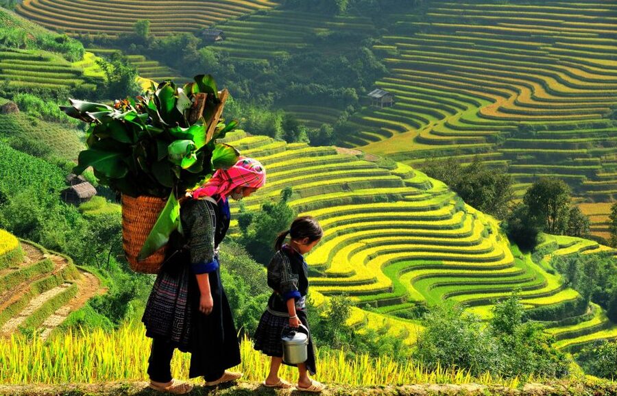 Sapa: 3-Day, 3-Night Trek and Hotel with Overnight Train - Day 1: Sin Chai and your first Sapa evening