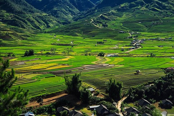 Sapa 3 Days 2 Nights Trekking Tour (1 Night In Ta Van Village, 1 Night In Hotel) - Who should book this Sapa trek?
