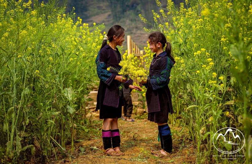 Sapa Cat Cat Village And Y Linh Ho Private Trekking Tour - Starting with Cat Cat Village and Hmong culture