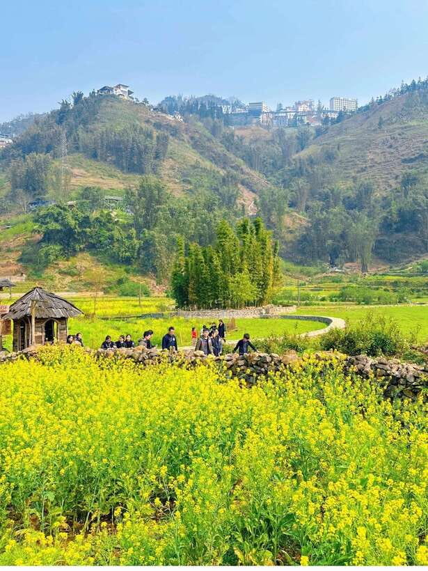 Sapa Cat Cat Village And Y Linh Ho Private Trekking Tour - What the private guide adds