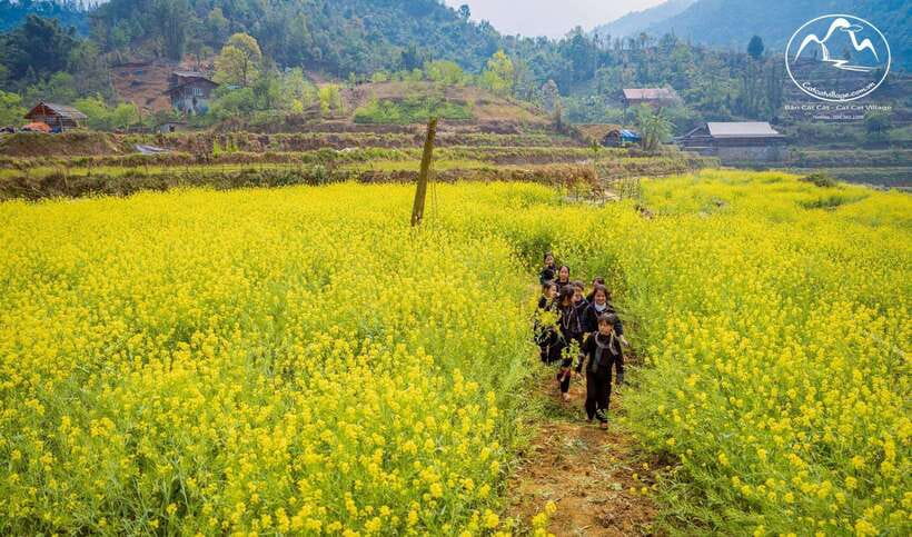 Sapa Cat Cat Village And Y Linh Ho Private Trekking Tour - How much walking should you expect?