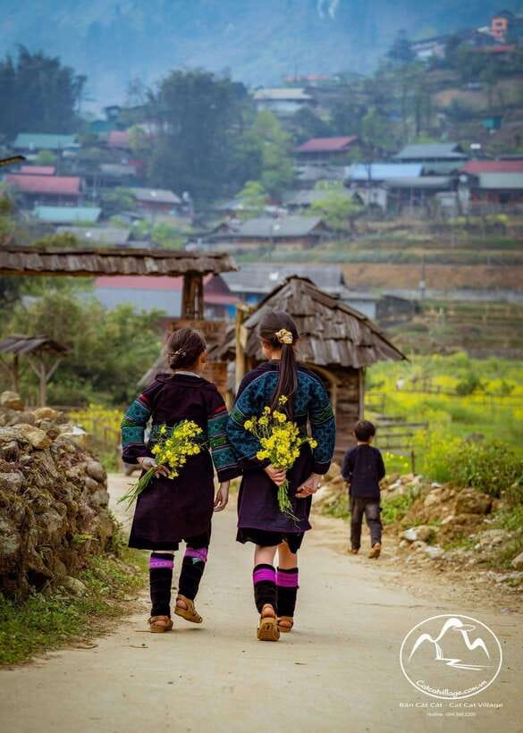 Sapa Cat Cat Village And Y Linh Ho Private Trekking Tour - Who will enjoy this Sapa trek most?