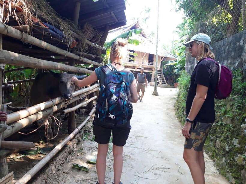 Sapa Cat Cat Village And Y Linh Ho Private Trekking Tour - A few cautions before you commit