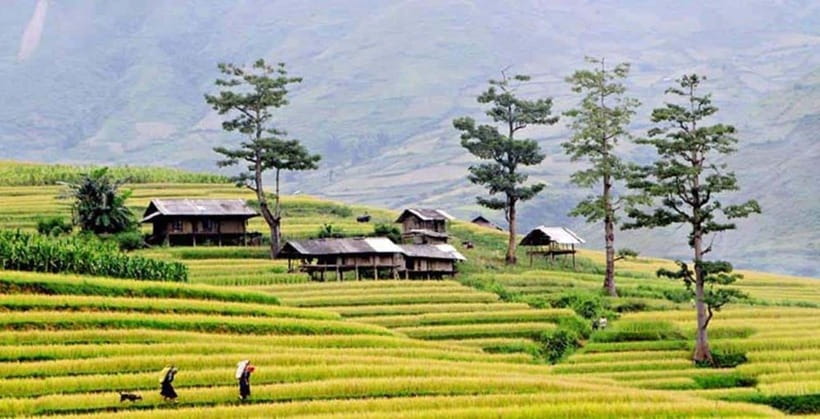 Sapa: Eco Adventure Terrace Fields and Local Villages Trek - Why This Sapa Trek Feels Different