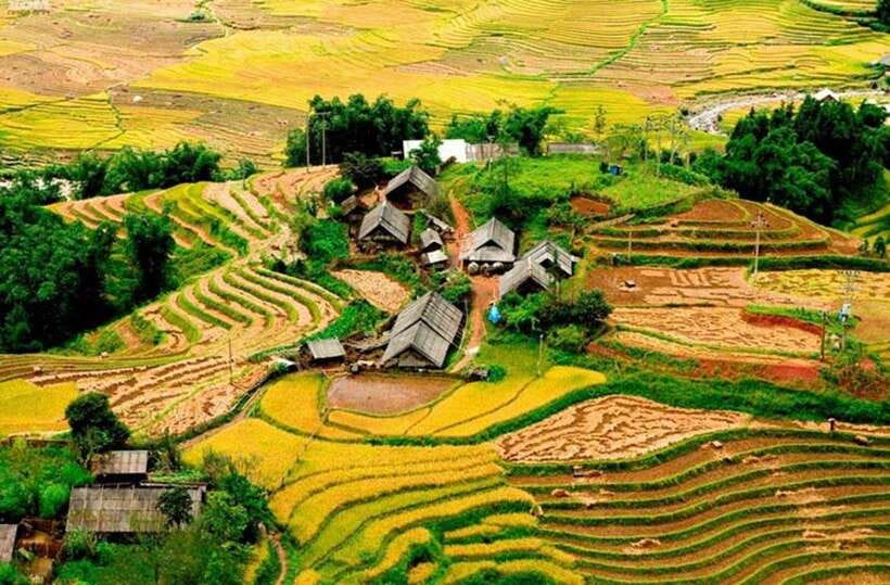 Sapa: Eco Adventure Terrace Fields and Local Villages Trek - Walking Through Muong Hoa’s Rice Terraces